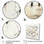 Art floral fourmis II - insectes et insectes-1127213337-1127213414