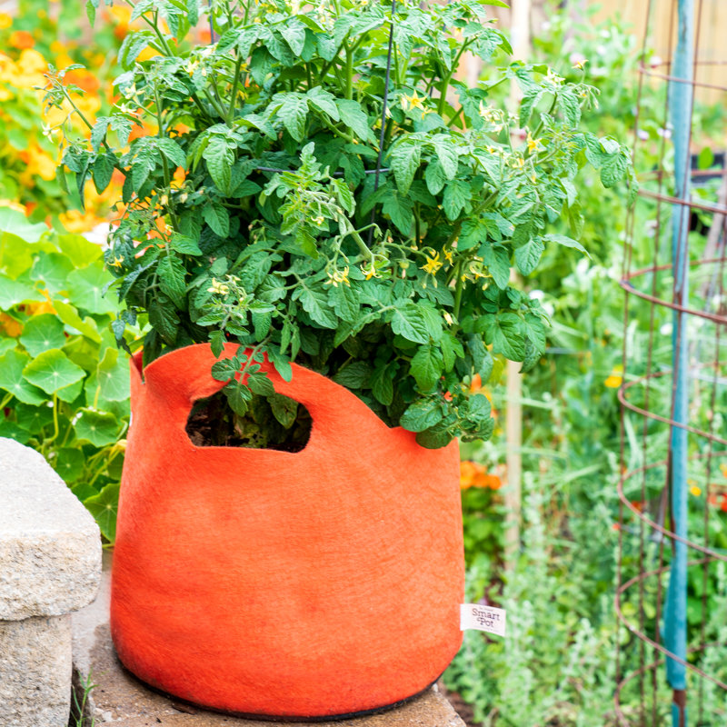 Jardinière en tissu Smart Pot®, 9,5 x 12 x 12, Orange