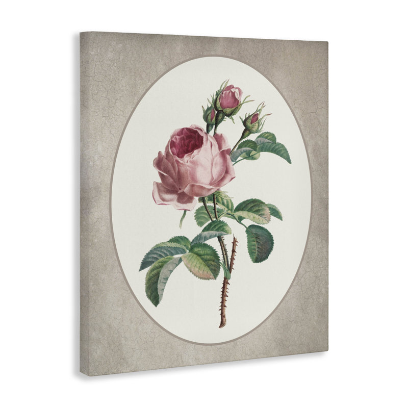 Vintage Rose within Oval Canvas, design by Lettered and Lined, 20" H x 16" W