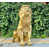 Gold;Pink sélectionné