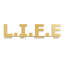 «Living Is not Easy», décoration murale en métal, lettre fendue, cadeau unique, décoration murale-94208264-94208267