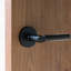 Door Lever Set-46048901-61149852