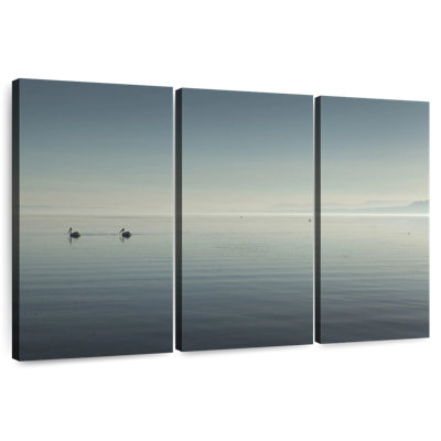 The Salton Sea