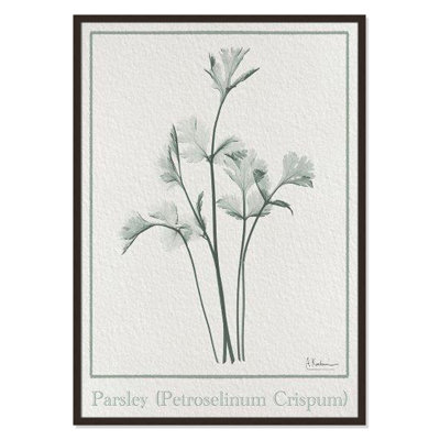 Jeanette "Parsley II" Print by Albert Koetsier