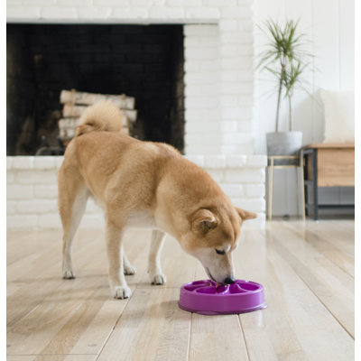 Outward Hound Fun Feeder Slow Bowl, Slow Feeder Dog Bowl, Medium, Purple