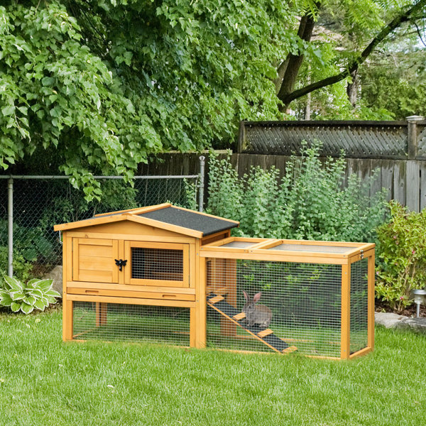 Archie & Oscar™ Macfarlane Weather Resistant Rabbit Hutch with Ramp ...