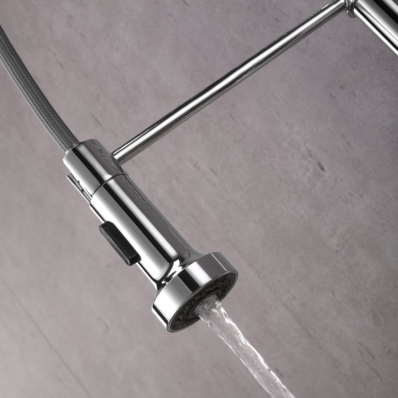 Belfry Kitchen Fresnel Pull Down Kitchen Faucet