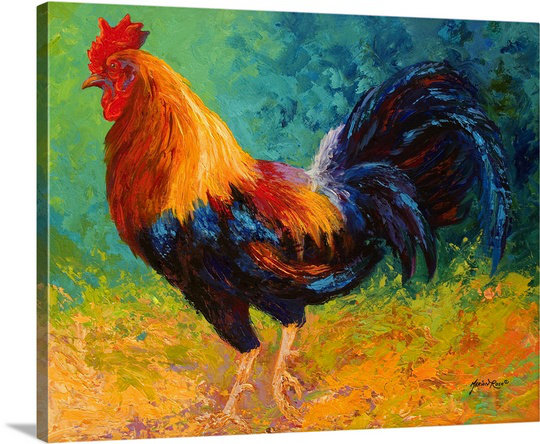 "Draisey Mr Big Rooster" par Marion Rose, reproduction d'art sur toile, H 16 po x l 20 po x P 1,25 po