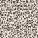 Gainell Animal Print Indoor / Outdoor Rug