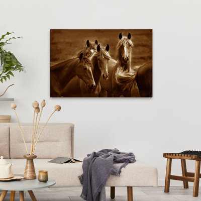 Bad Girls - Photographie, animaux, chevaux, nature, faune
