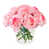 Pink/White