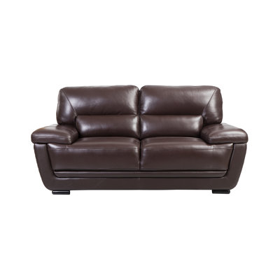 Genuine Leather Pillow Top Arm Loveseat