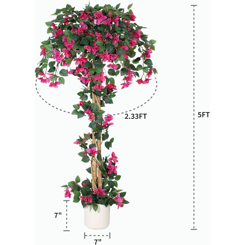 152cm Plant