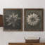 Toile encadrée Blossfeldt-2052834719-2052834786