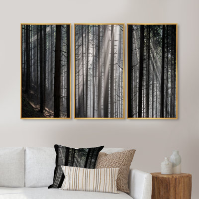 Rayons de soleil «Peeking Through Dark Forest», ensemble d'art mural sur toile encadré forêt