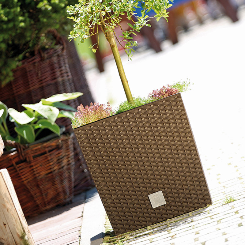 Kylie Pot Planter, 42cm H x 23cm W, Beige