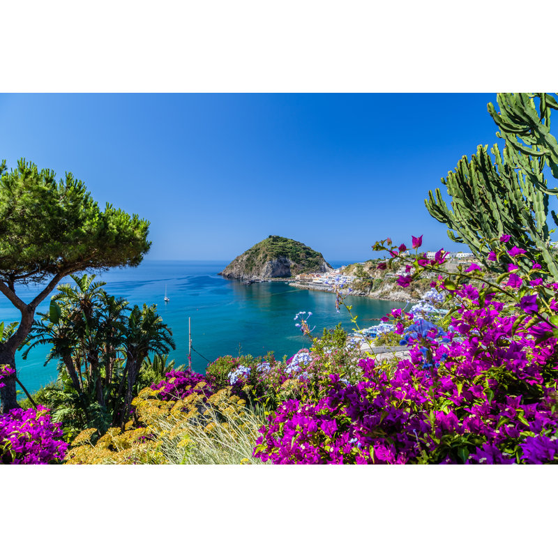 Ischia And Bougainvillea Glabra - Wrapped Canvas Print, 51cm H x 76cm W x 3.8cm D