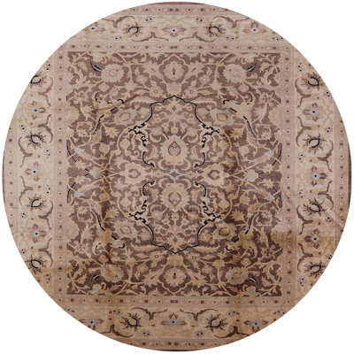 Chyann Oriental Indoor Rug