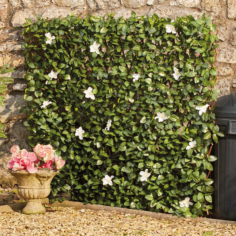Maude 100cm H x 200cm W Expanding Trellis