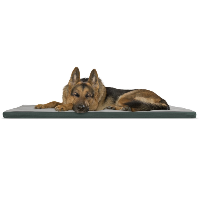 Nap™ Polyester Pet Bed, Green / Gray, Extra Large (42" W x 24" D x 1.25" H)