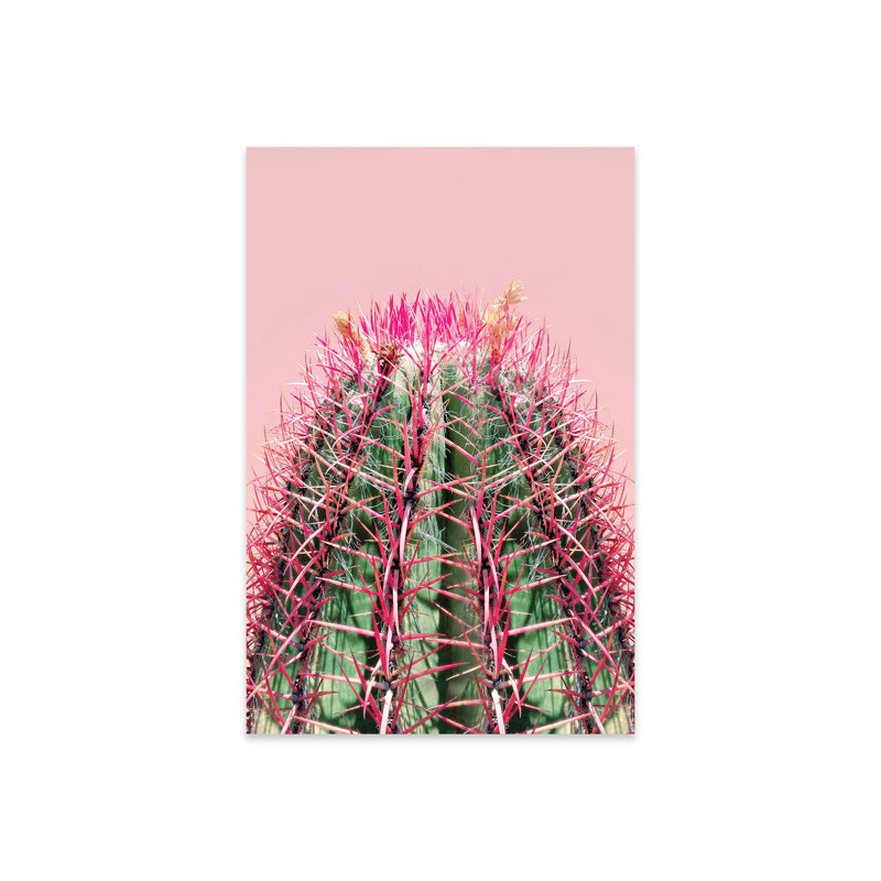 Cactus sur rose sur plastique / acrylique par Emanuela Carratoni