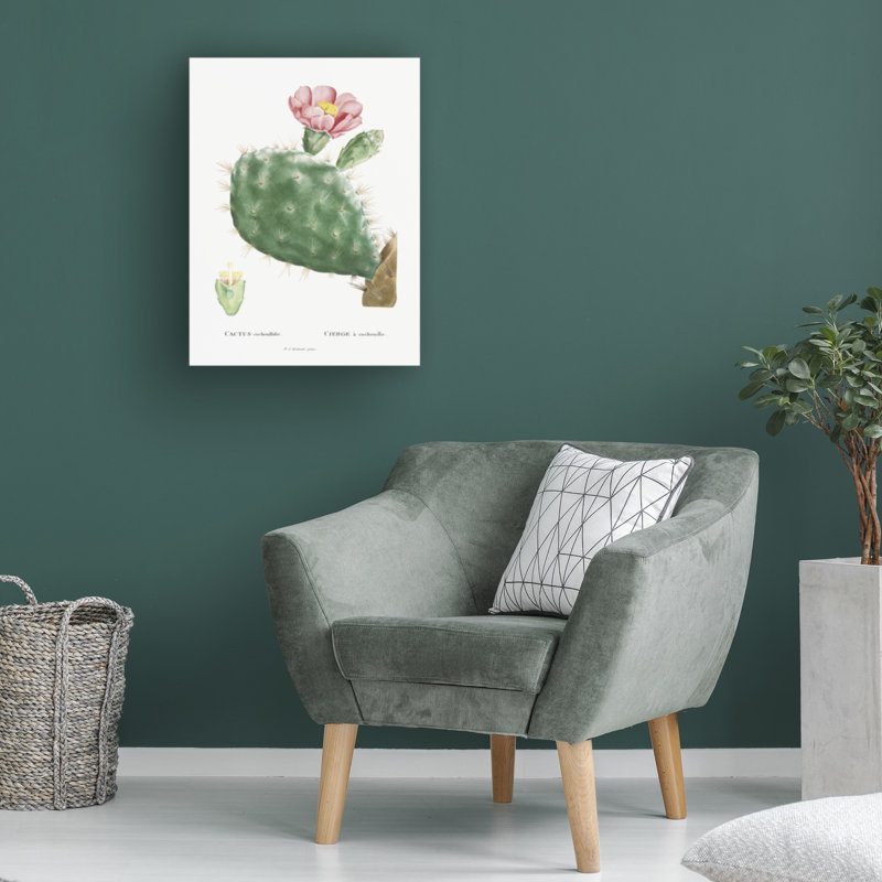 «Redoute Cactus III» sur, H 19 po x l 14 po
