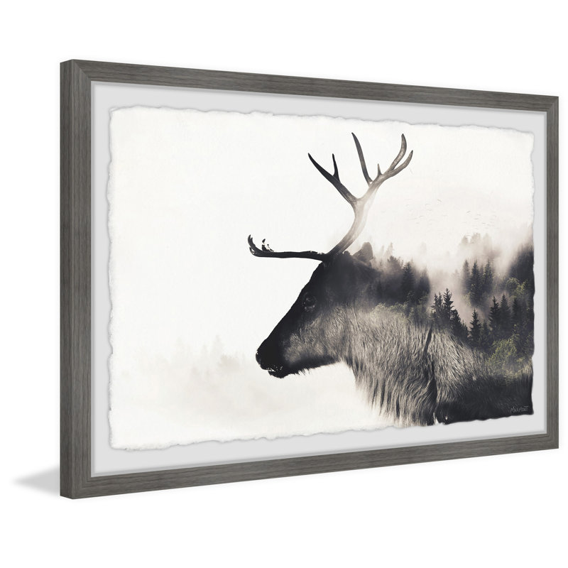 Mountain Deer - Single Picture Frame Print, 41cm H x 61cm W x 3.81cm D