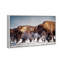 Buffalo Herd In A Snow Landscape Print-69341660-69341656