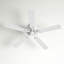 Ventilateur de plafond 52 po Aaden-787865211-787865212