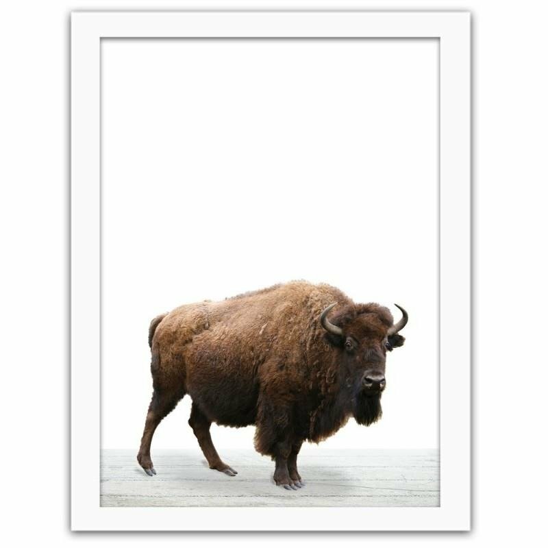 Gerahmter Fotodruck European Bison