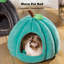 Maison pour chat semi-fermée pour chat