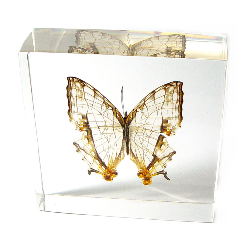Presse-papier Radabaugh