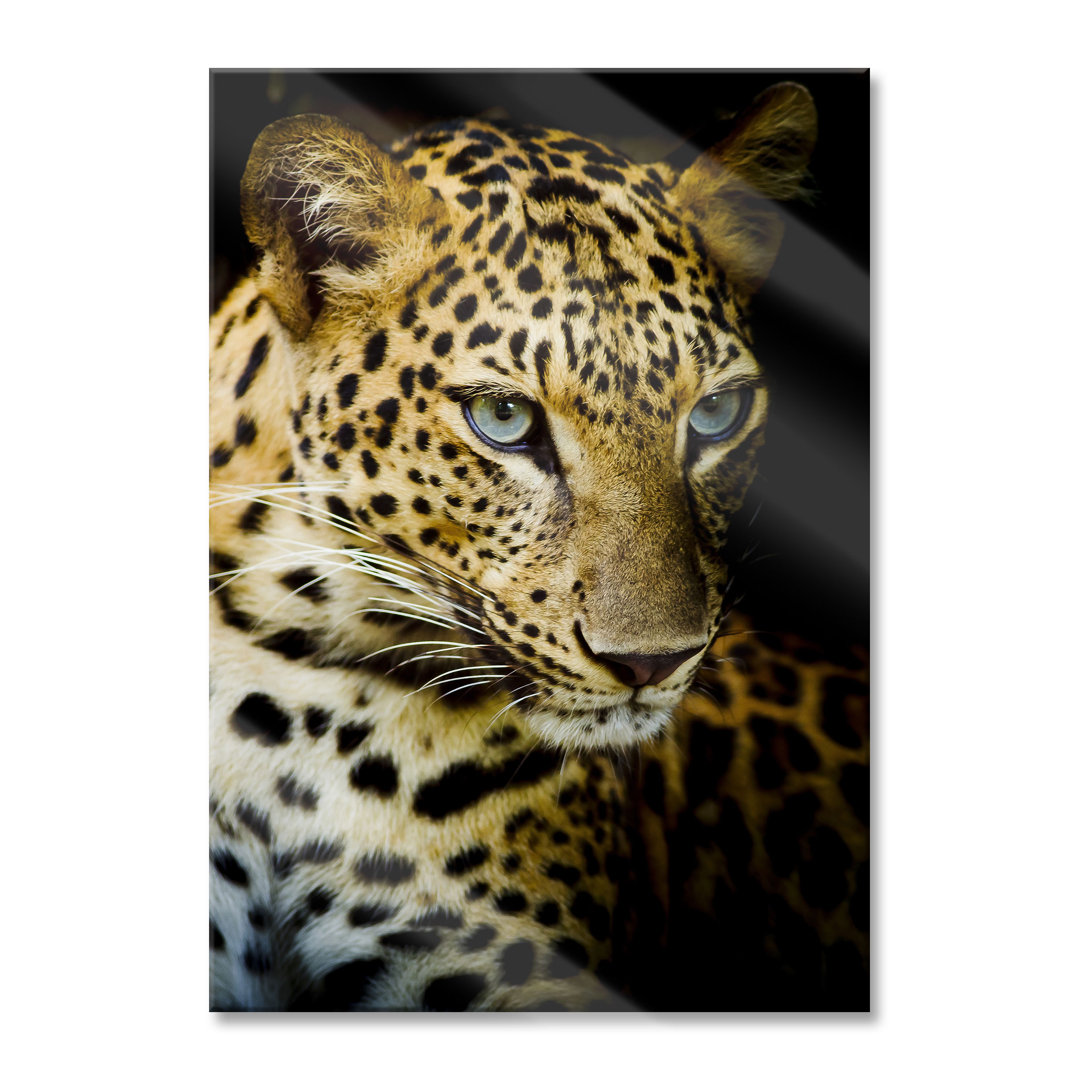 Glasbild Leopard mit blauen Augen