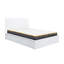 Marqita Double (4'6) Ottoman Bed-87148069-87148070