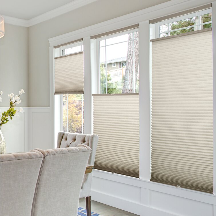 https://assets.wfcdn.com/im/48536184/resize-h755-w755%5Ecompr-r85/1075/107586967/Cordless+Semi-Sheer+Cellular+Shade.jpg