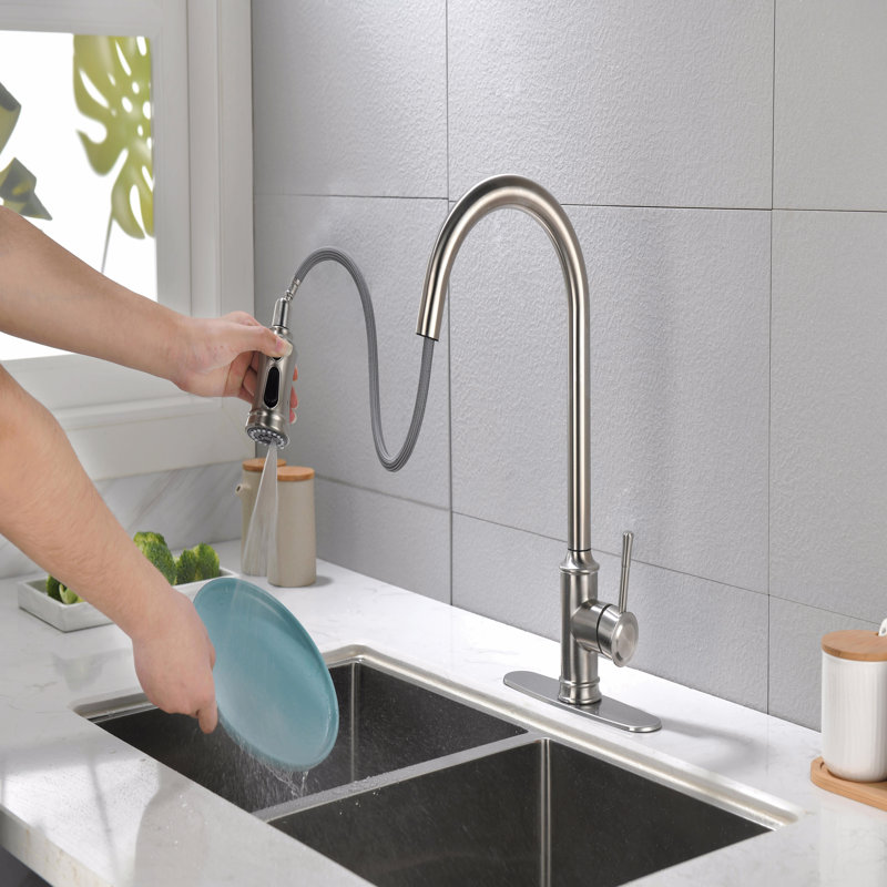 Single Handle High Arc Pull Out Kitchen Faucet,Single Level Stainless Steel Kitchen Sink Faucets With Pull Down Sprayer