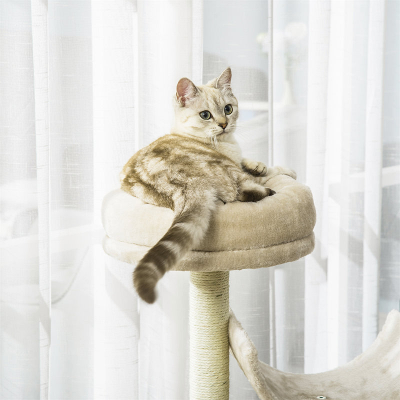 Graciela 105cm H Cat Tree