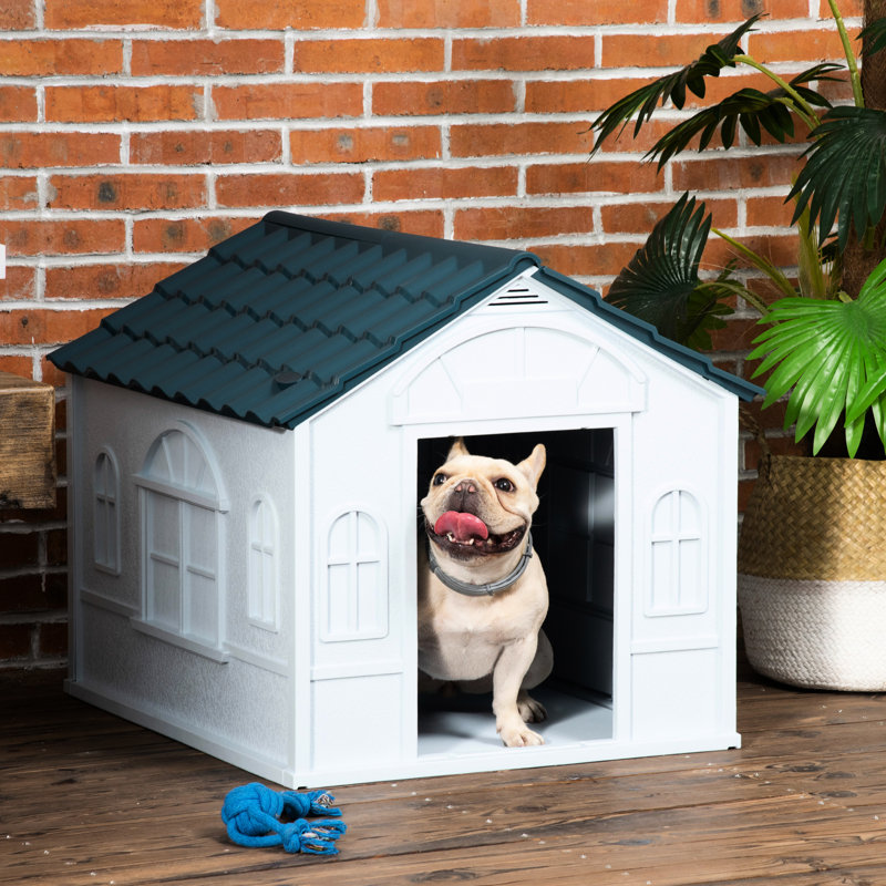 Niche pour chien en bleu - eau, pour chiens de petite et moyenne taille, processus de fabrication sans effort et race toutes saisons, plastique, assemblage facile,