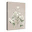 «Botanicals On Neutral», reproduction sur toile-1385291802
