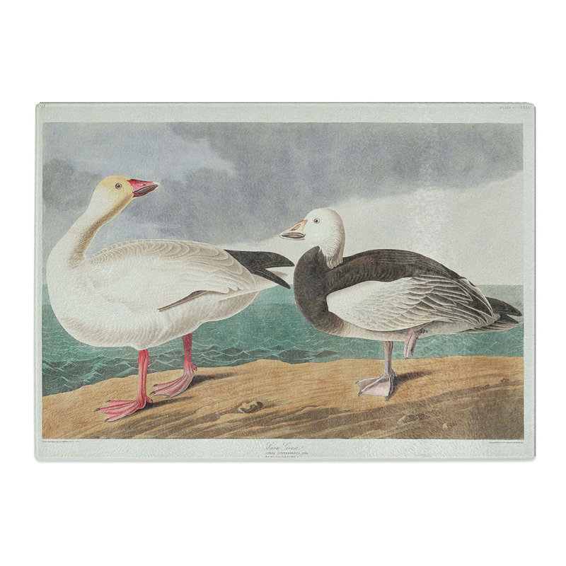 Tempered Glass Snow Goose by John James Audubon Chopping Board, 28.5 cm x 20 cm
