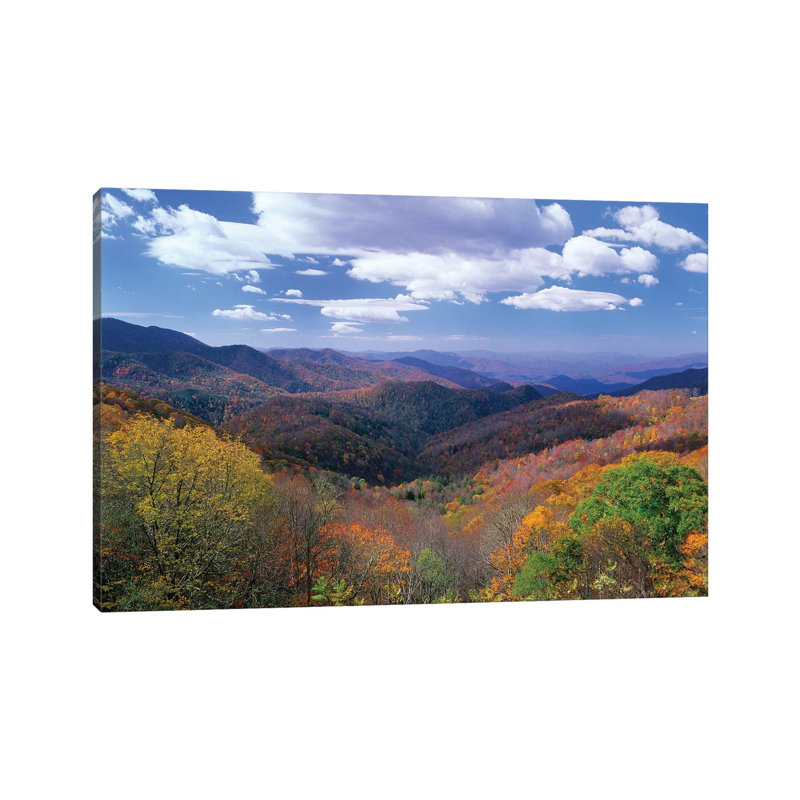 Deciduous Forest In The Autumn Form Thunderstruck Ridge Overlook, Blue Ridge Parkway, North Carolina by Tim Fitzharris - Wrapped Canvas Print
