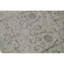 Floral Area Rug in Gray