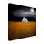 «Black Night Harvest» par Sasha, reproduction sur toile tendue-1955890383