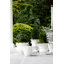 Rustic Garden Handmade Planter