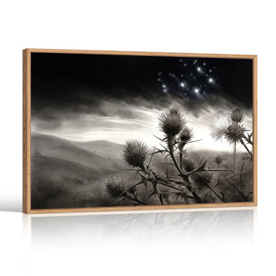 Tableau sur toile représentant un chardon en nuances de gris dans des collines brumeuses sous un ciel étoilé