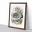 Animal Kingdom Illustration by Oliver Goldsmith - Framed Print-55545208-55545214