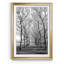 Pier a Park par Natalie Carpentieri - reproduction d'art sur papier encadrée-988127810-988127809