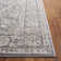 Amyrose Oriental Indoor Rug