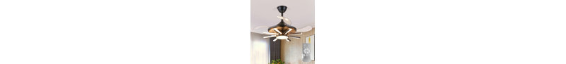 Arleth Ceiling Fan with LED Lights-1738961055