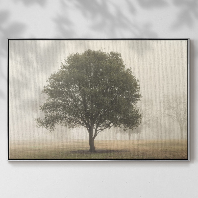 «Trees in the Fog I», reproduction encadrée sur toile, Argent, H 27 po x l 41 po x P 2 po